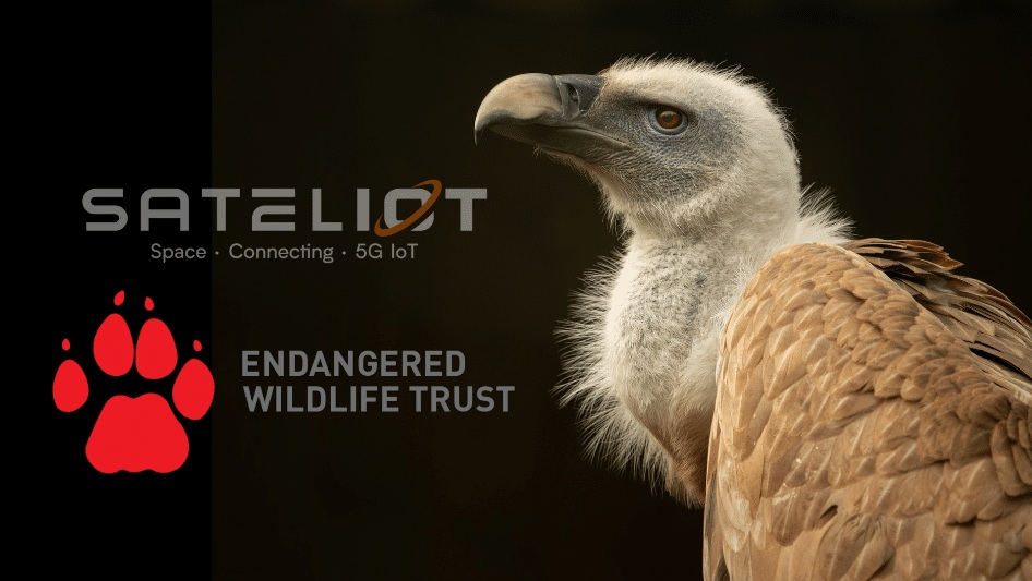 The Sateliot and Endangered Wildlife Trust logos displayed together, symbolizing their partnership. IoT connectivity supports innovative solutions for wildlife conservation and monitoring in remote areas.