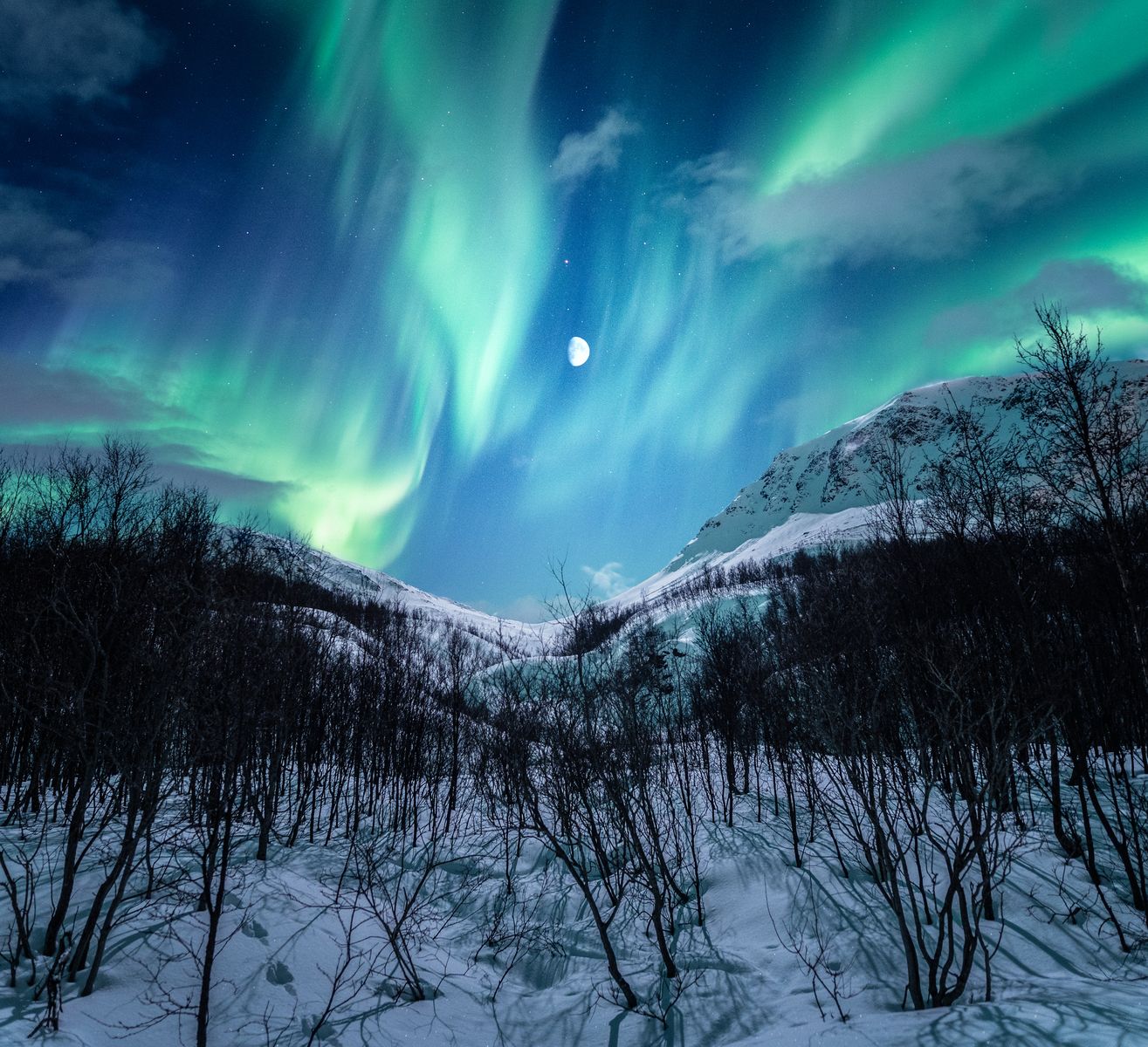 Vertical shot of a night winter landscape with Aurora borealis and the moon